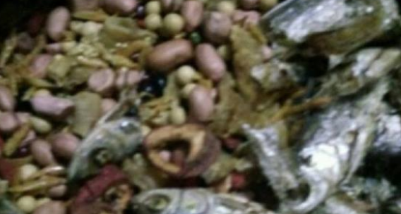 如何制作营养丰富的画眉鸟饲料呢? 如何制作营养丰富的画眉鸟饲料呢?