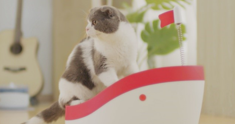 好命天生x《猫的异想世界》,引爆撸猫狂潮! 好命天生x《猫的异想世界》,引爆撸猫狂潮!