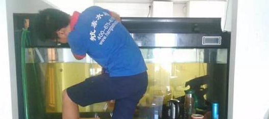 日常如何维护能使鱼缸水质达到最佳状态？