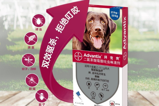 太简单了，拜宠爽狗狗体外驱虫经验分享