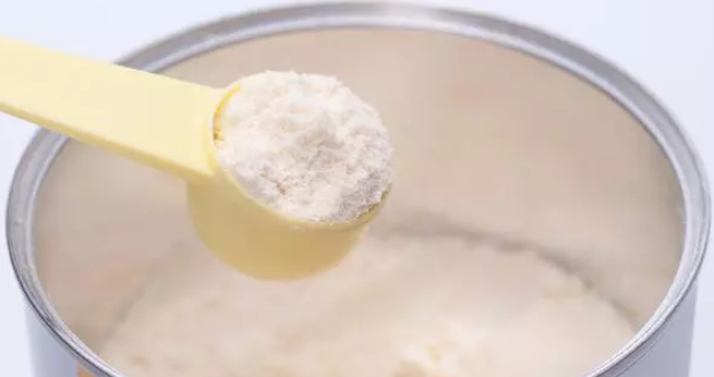 养猫知识:刚出生的小猫喝什么奶粉