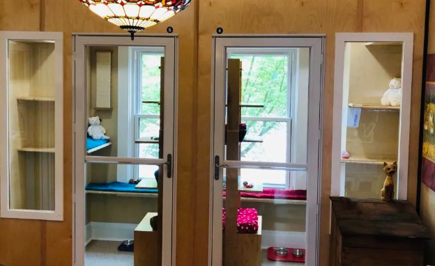 假期外出,如何给猫咪找靠谱寄养? 假期外出,如何给猫咪找靠谱寄养?