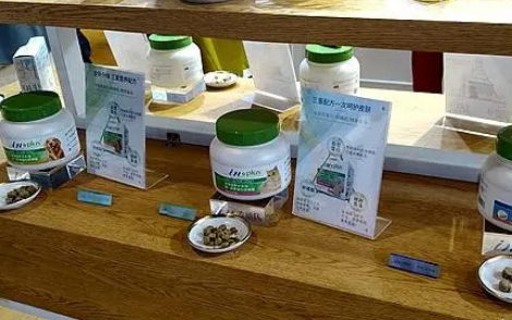 IN麦德氏坚持爱宠如己开启2019品牌新纪元