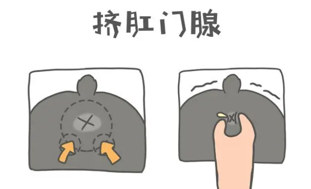 狗狗“洗澡”注意事项：多洗这5个部位，狗狗才会更健康