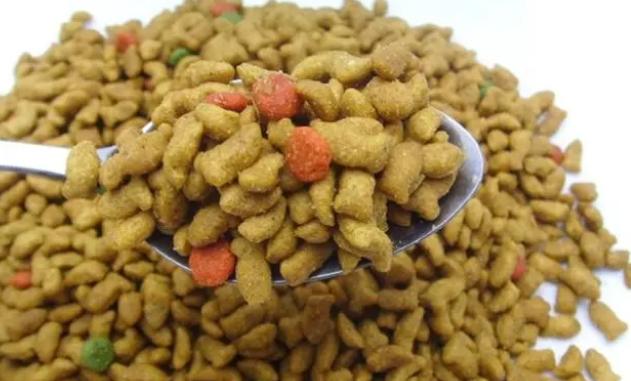 益生菌是什么呢，能不能经常吃