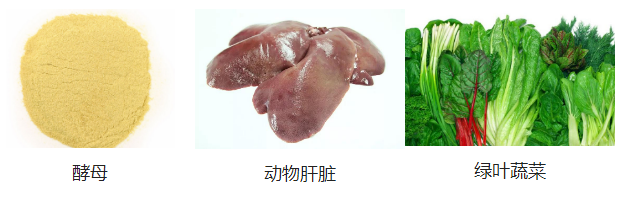 怀孕母猫照顾好，叶酸补充不能少