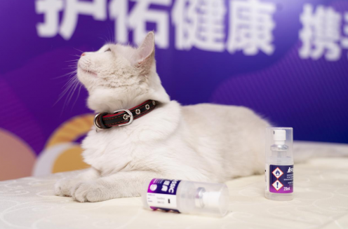 网营科技携手费利威战略合作,探寻千亿宠物赛道下的新增量! 网营科技携手费利威战略合作,探寻千亿宠物赛道下的新增量!