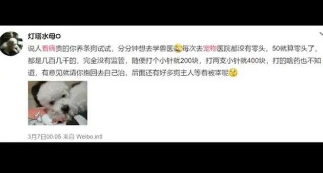 宠物的一片感冒药就30！网友：自己看不起病，宠物更看不起