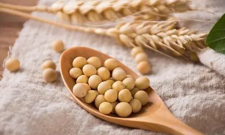 老年狗可以长期吃钙片吗