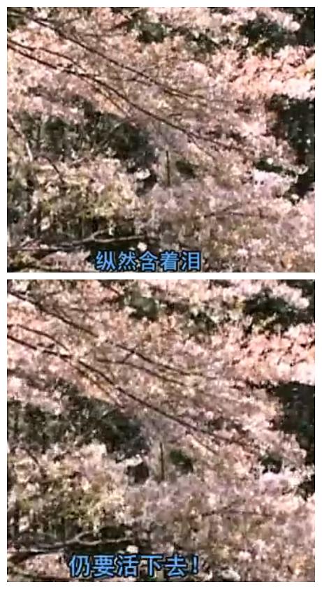 含泪活着(2006)的剧照 含泪活着(2006)的剧照