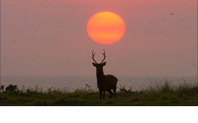 日本列岛(2012)的剧照 日本列岛(2012)的剧照