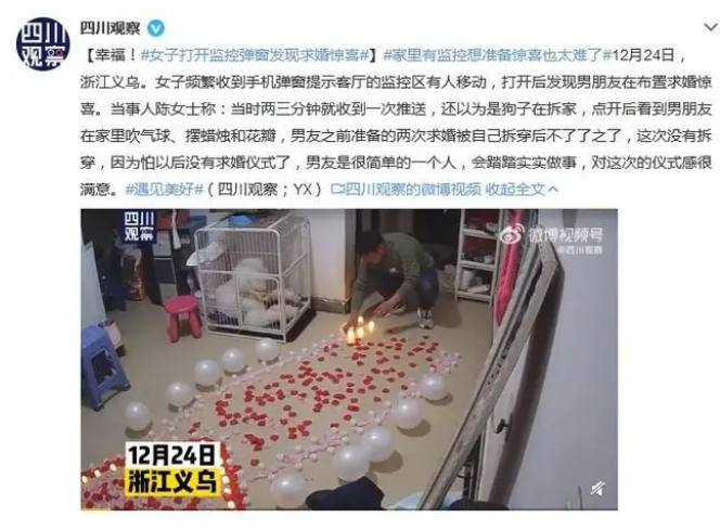 独居神器，养猫必备？家用监控能带来安全感吗？