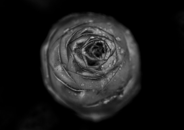 记忆的静物(2018)的剧照 记忆的静物(2018)的剧照