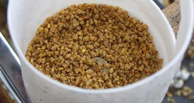 笼养鸟饲料的种类及怎样选择笼养鸟饲料? 笼养鸟饲料的种类及怎样选择笼养鸟饲料?