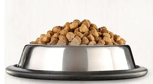 别把换猫粮不当回事,如操作不当猫咪轻则食欲不振,重则致命! 别把换猫粮不当回事,如操作不当猫咪轻则食欲不振,重则致命!