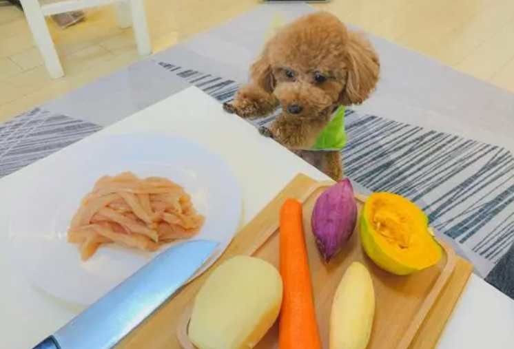 狗狗零食的详细做法，铲屎官们不要错过