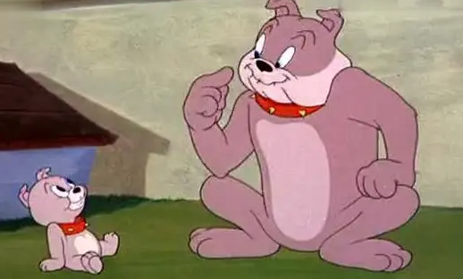 动画片《猫和老鼠》里面的狗狗是什么品种？这篇文章告诉你