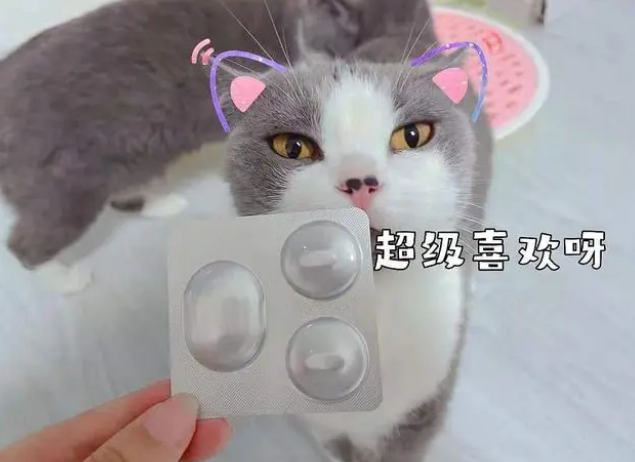 拜宠清告诉你关于猫咪体内驱虫的心得