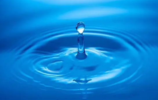 你家猫是吃猫粮为主吗？如果是，那请搭配一根猫条！作用有很多