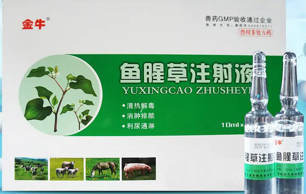 鱼腥草注射液在猪病中如何正确的使用? 鱼腥草注射液在猪病中如何正确的使用?