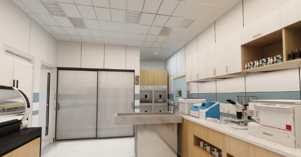 开一家宠物医院要多少钱