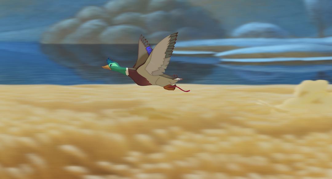 鸡妈鸭仔(2011)的剧照 鸡妈鸭仔(2011)的剧照