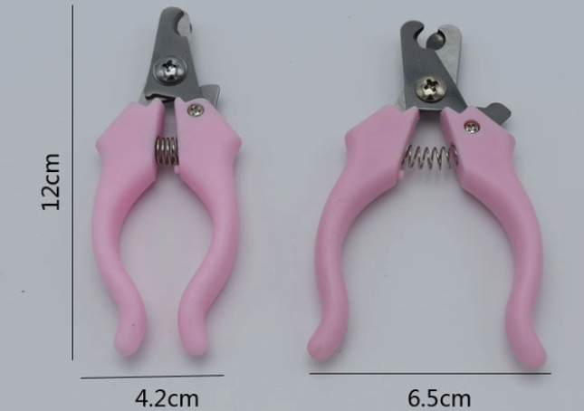 如何给宠物剪指甲？宠物专用指甲剪要选对