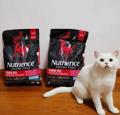 回购了最多次的猫粮，纽翠斯真的是天选猫粮