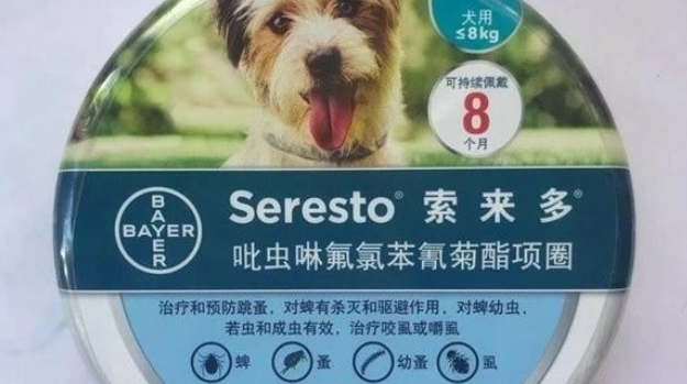 关于狗狗体外驱虫，这篇攻略请收好！