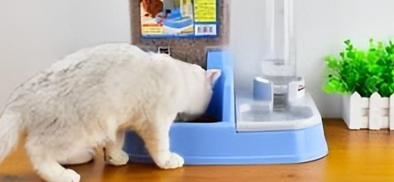 号称解放铲屎官双手的猫咪自动喂食器，到底是不是智商税？