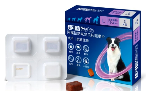 狗驱虫多久一次 体内体外为什么要驱虫