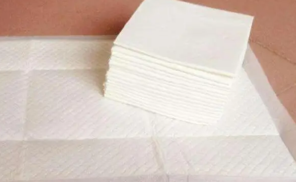 狗狗尿垫怎么选?不会选的赶紧看过来吧,实用又简单 狗狗尿垫怎么选?不会选的赶紧看过来吧,实用又简单