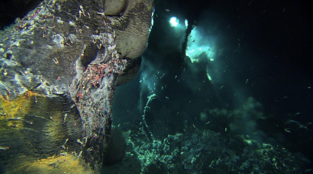 深海异形(2005)的剧照 深海异形(2005)的剧照