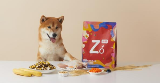 专访 | 秋二宠物入局:拙极狗粮会给大家新维度的选择 专访 | 秋二宠物入局:拙极狗粮会给大家新维度的选择