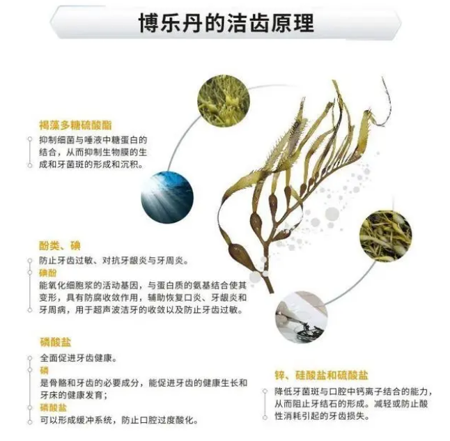 国际接吻日｜博乐丹让“舔狗”舔到最后应有尽有！