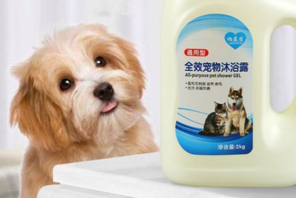 宠物和人类的沐浴露有什么区别?来看看吧 宠物和人类的沐浴露有什么区别?来看看吧
