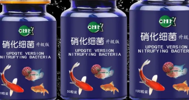 硝化菌用多了鱼会死吗？来了解下吧
