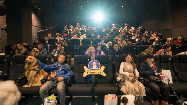 盖夫相约携宠观影活动,文明养宠身体力行! 盖夫相约携宠观影活动,文明养宠身体力行!