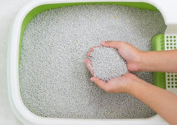 最全的猫砂种类与建议