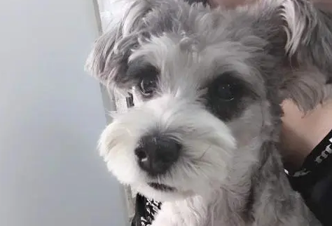 营养膏的作用 营养膏的作用