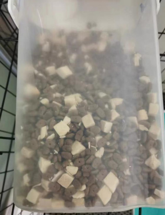 猫粮测评之凯锐思猫粮，选粮不再困难