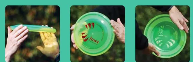 飞盘犬的详细训练，系统的从选盘到抛盘......