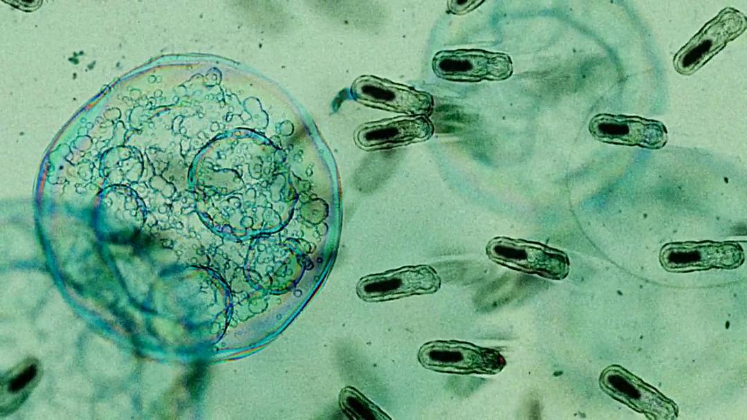 方舟(2007)的剧照 方舟(2007)的剧照