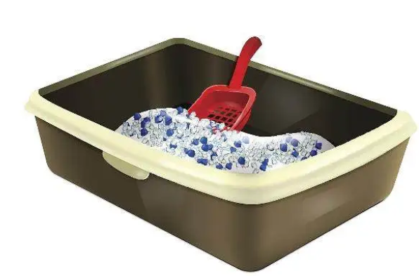 猫砂有刺鼻的气味，猫砂有臭味怎么办