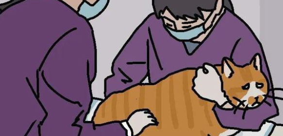 怎样挑选一家靠谱的宠物医院？