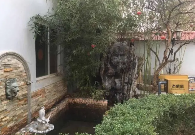 鱼缸水质变浑浊怎么办？做好这两个步骤能让你的鱼缸变回清澈透明