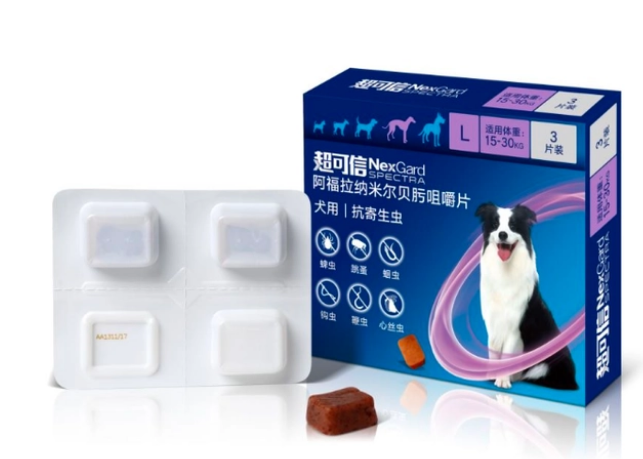 狗狗驱虫多久一次？体内体外驱虫如何进行？