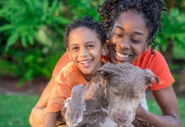 你掌握了给狗洗澡的正确方法吗?不要这样给狗狗洗澡,这不科学 你掌握了给狗洗澡的正确方法吗?不要这样给狗狗洗澡,这不科学