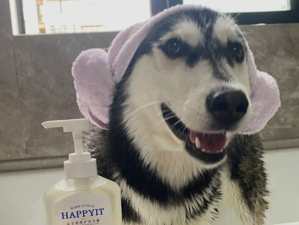 狗狗沐浴露有哪些种类?狗狗沐浴露类型汇总 狗狗沐浴露有哪些种类?狗狗沐浴露类型汇总