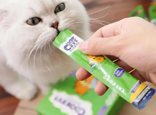 猫条可以兑水后给猫咪吃吗？